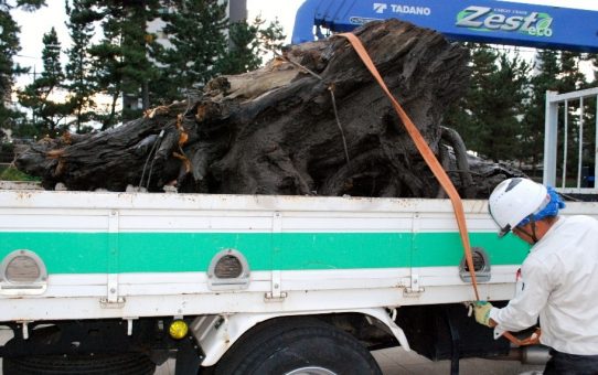 国土交通省中川出張所　流木処理とゴミ70袋回収