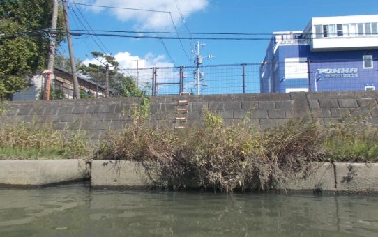 綾瀬川、汚染水不法投棄